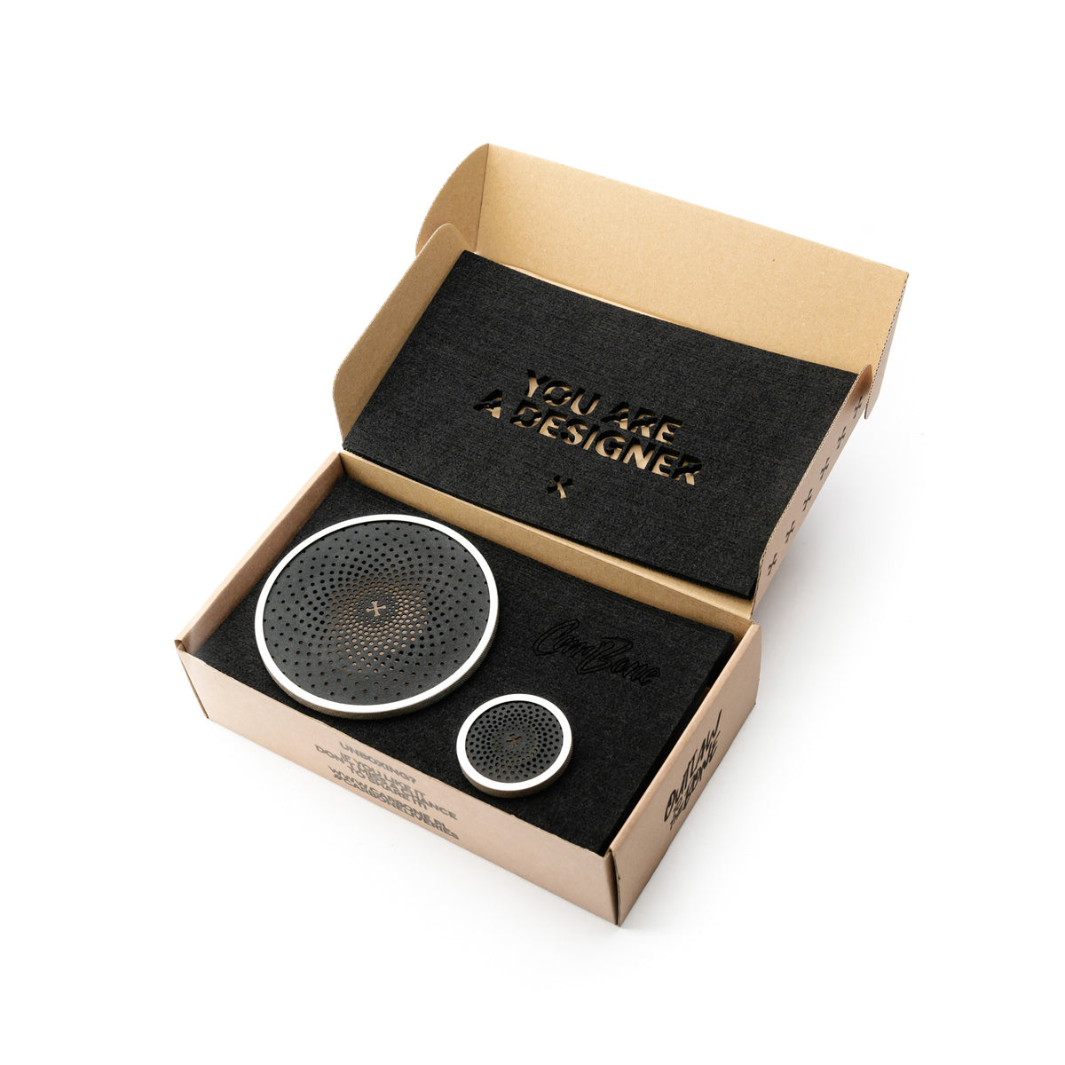 CarBone Sound Guards - Speaker covers for 2 tweeters and 2 main speakers - Silver - RAW