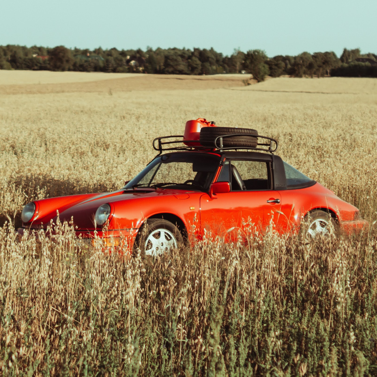 CarBone Targa Roof Rack (Black) for 912, F-model, G-Model and 964