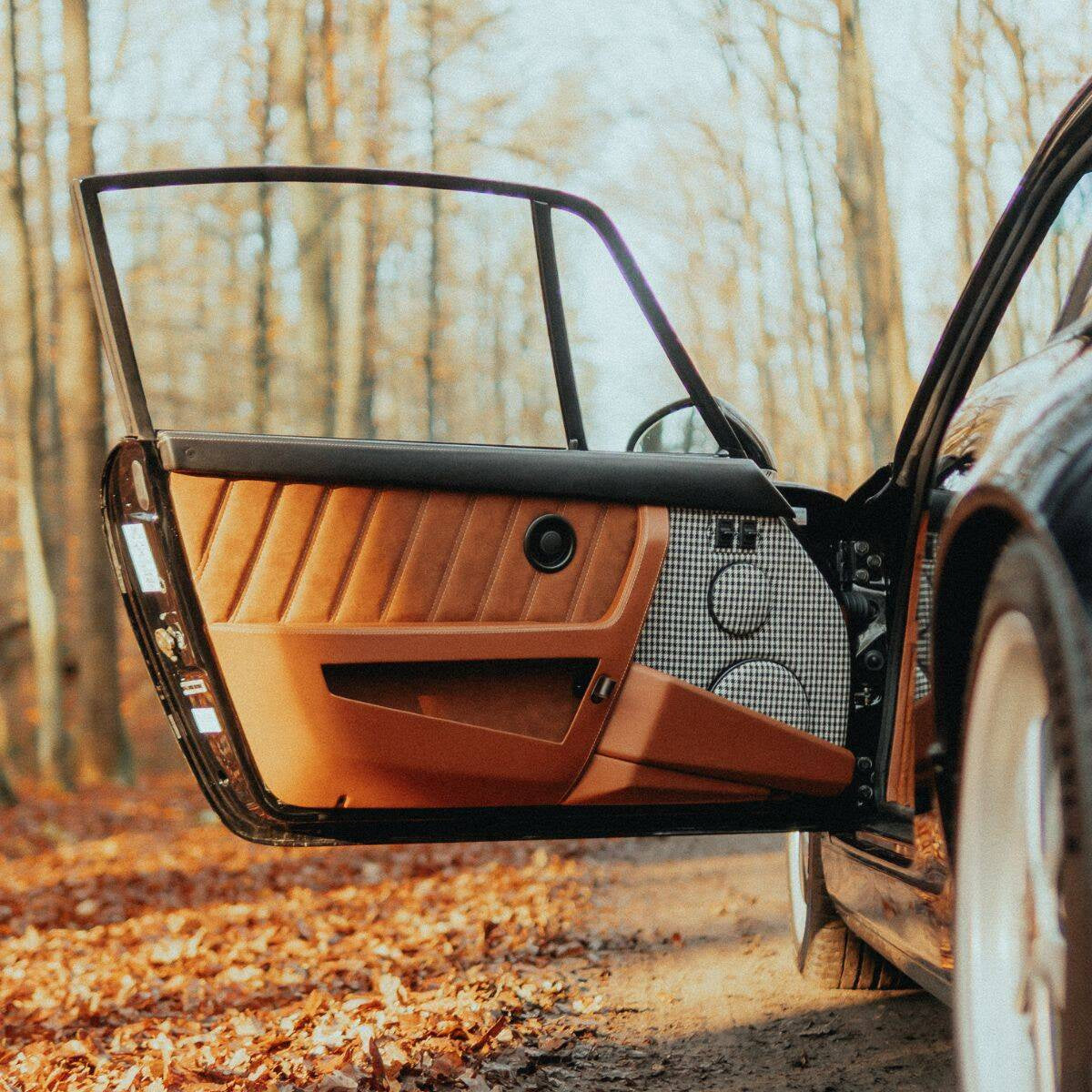 CarBone CB door panels - Custom / Leather