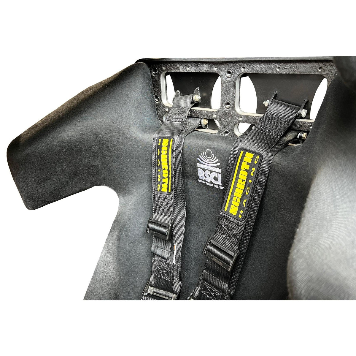 Schroth Profi II SFI 16.6 Belt with 2" Laps